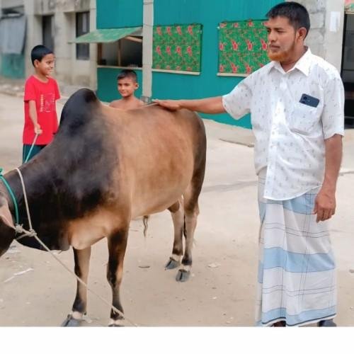 আব্দুল আলীম